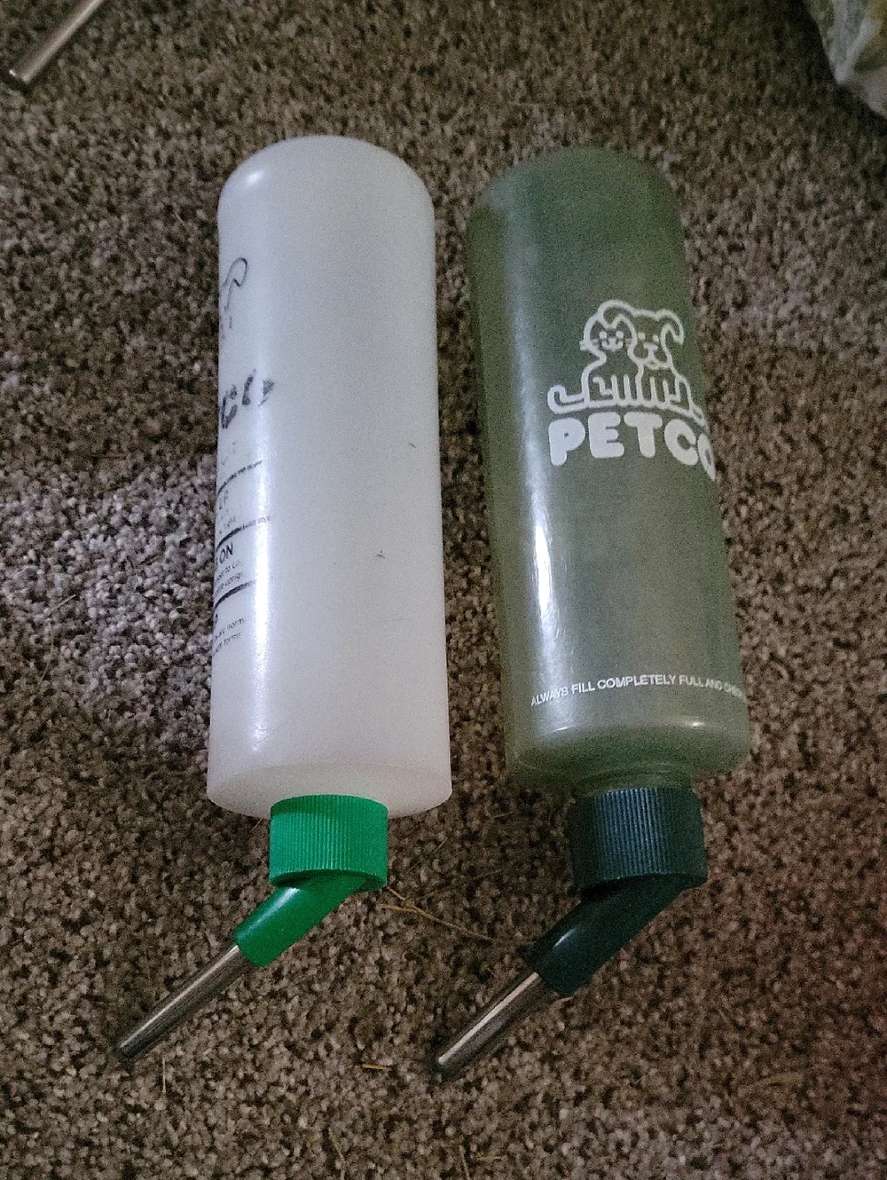 PETCO Green Small Pet Water Bottle - Durable Sipper